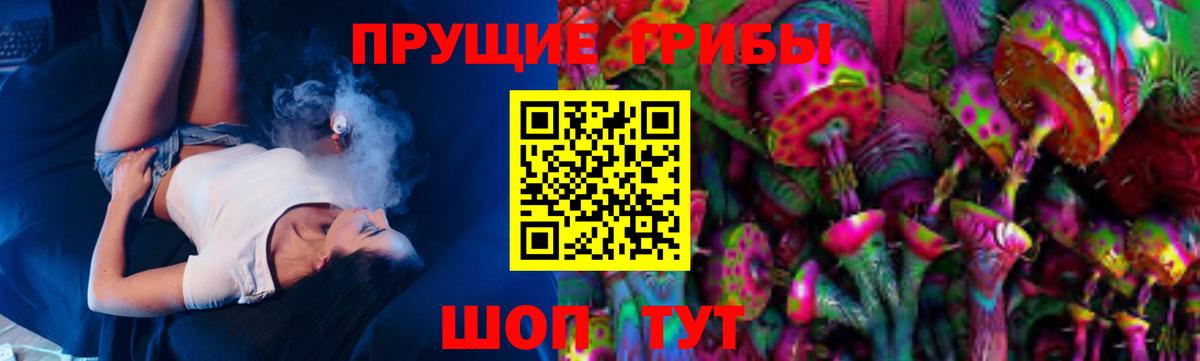 Псилоцибиновые грибы MAGIC MUSHROOMS  Вход с VPN  Кубинка 